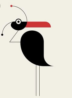 a black bird with a red stripe on it's head is standing in front of a white background