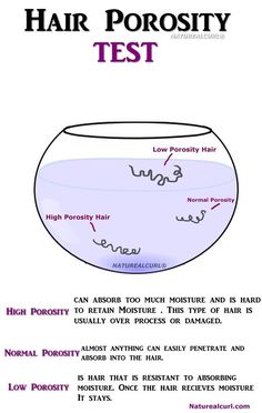 Porosity Test, Hair Porosity Test, Membentuk Alis, High Porosity Hair, Beauty Science, Low Porosity, Low Porosity Hair Products, Natural Hair Care Tips, Hair Regimen