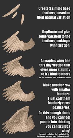 an info sheet describing the different types of wings