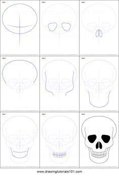 how to draw a skull with different angles and head shapes, step - by - step instructions