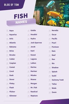 Fish Names Names For Goldfish, Betta Fish Names Ideas, Fish Names Ideas Funny, Beta Fish Name Ideas, Names For Fish Pet, Ocean Username Ideas, Betta Fish Names Male, Fish Names Ideas Cute