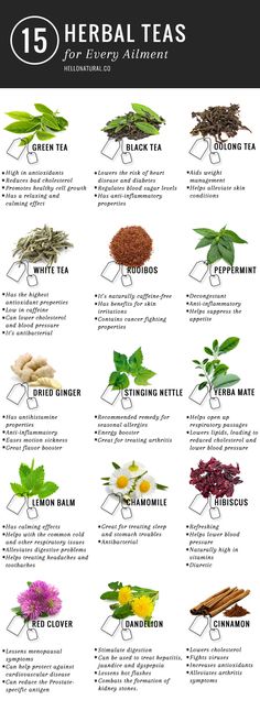 Health Benefits of Tea | HelloNatural.co Herbs And Their Uses, Types Of Herbs, Tea Health Benefits, Herbal Teas, Detox Tea