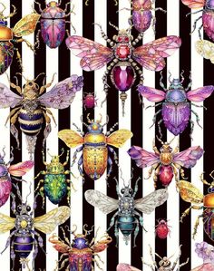 many different colored bugs on black and white striped background, with one beetle in the middle