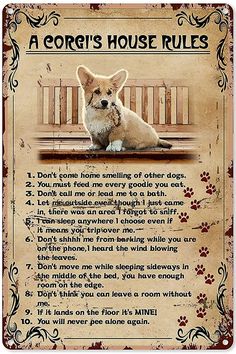 a dog's house rules is shown in this image with an old - fashioned background