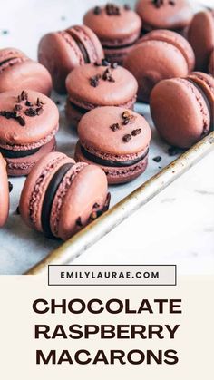 chocolate raspberry macarons on a baking sheet with the title overlay