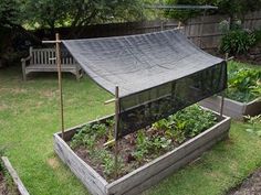 an outdoor garden area with raised beds and plants