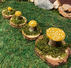 small yellow mushrooms sitting on top of green grass