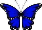 a blue butterfly with white dots on it's wings