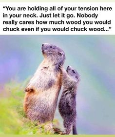 two groundhogs standing on top of a hill with the caption, you're holding all of your tension here in your neck just let go nobody really cares how much wood you would