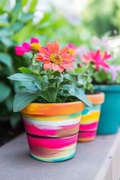 three potted plants with colorful flowers in them