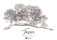 trees are shown in the middle of a drawing