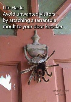 a spider hanging from the side of a door with a caption that reads life hack avoid unwanted visitors by attaching a tarantula to your door knocker