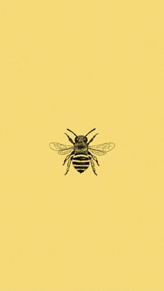 a bee on a yellow background