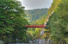 a red bridge over a river surrounded by trees