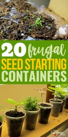 seed starting containers with plants in them and text overlay that reads 20 frugal seed starting containers