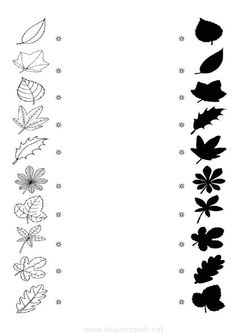 the silhouettes of leaves and flowers are shown in this black and white drawing technique