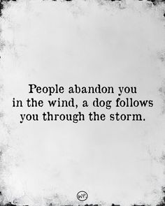 a black and white photo with the words people abandon you in the wind, a dog follows you through the storm