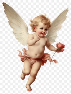 an angel is holding a flower and posing for the camera, transparent background png