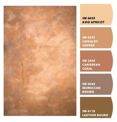 an image of a brown color scheme with different shades and colors to choose from for the wall