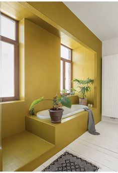 a bathroom with yellow walls and white flooring has a plant in the bathtub