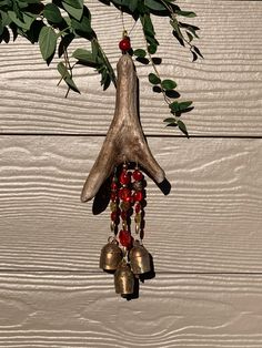 a bird hanging from a tree branch with bells attached to it's neck and red beads