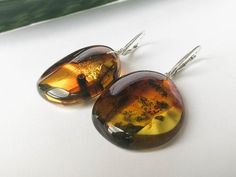 Baltic amber green earrings with silver round amber silver | Etsy Cabochon Amber Earrings For Gift, Amber Cabochon Earrings Gift, Amber Cabochon Earrings For Gifts, Modern Amber Earrings For Gift, Modern Amber Earrings As A Gift, Round Tortoiseshell Earrings For Gift, Tortoiseshell Round Earrings For Gift, Amber Earrings, Natural Amber