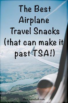 the best airplane travel snacks that can make it past sa's cover image with text overlay