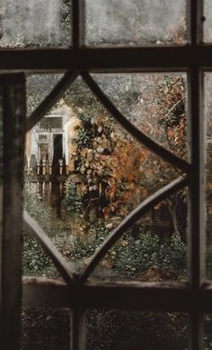 the view through a stained glass window into a garden