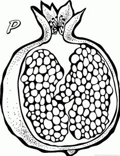 the pomegranate is cut in half and ready to be used as a coloring page