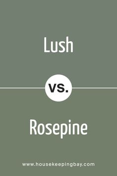 Lush AF-475 by Benjamin Moore vs Rosepine 461 by Benjamin Moore Rosepine Benjamin Moore, Bm Green Paint Colors, Benjamin Moore Exterior, Dense Forest, Trim Colors, Massage Room, Bedroom Green, Green Paint