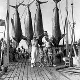 black and white photograph of people standing on dock with large fish