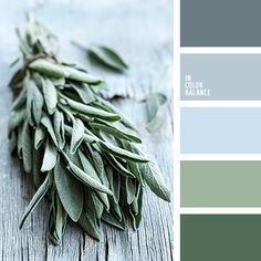 a bunch of green leaves sitting on top of a wooden table next to a color swatch