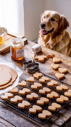 Golden Retriever awaiting heart-shaped homemade dog treats made from peanut butter and honey on rustic table Peanut Butter And Honey Dog Treats, Honey Dog Treats, Honey Treats, Diy Peanut Butter, Peanut Butter And Honey, Dog Treats Recipe, Chicken Dog Treats, Carrot Dogs, Peanut Butter Dog Treats