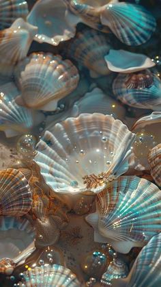 many seashells are gathered together in the water with bubbles floating on top of them