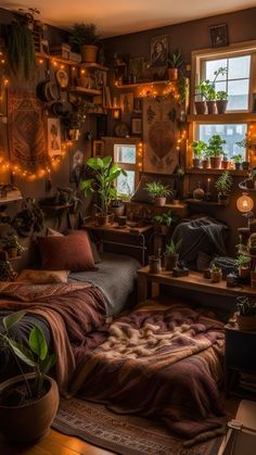 a living room filled with lots of potted plants next to a window covered in lights