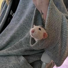 a person holding a small rodent in their arm and wearing a sweater over it