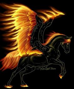 a black horse with orange and yellow wings