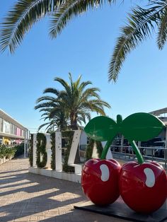 two large cherries sitting on top of each other in front of a palm tree