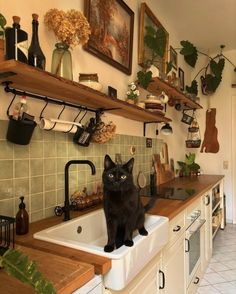 a black cat sitting on top of a kitchen sink