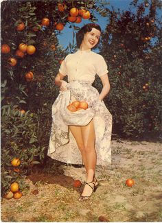 an old photo of a woman sitting in front of orange trees holding a basket of fruit