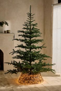 a small christmas tree in a potted planter with fairy lights on the bottom