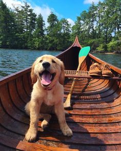 a dog is sitting in the bow of a boat on the water with its tongue hanging out