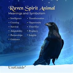 the raven spirit animal meanings and symbolism is shown in front of a snowy background