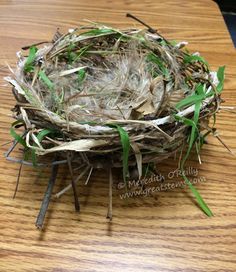 a bird's nest on top of a wooden table with grass growing out of it