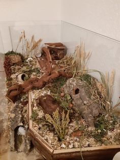 an animal habitat with rocks and plants in the corner, including a birdhouse made out of wood