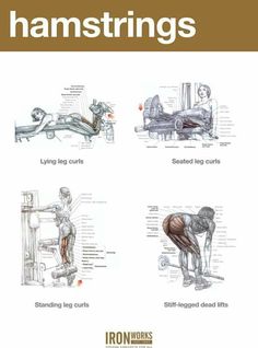 an instruction manual for hamstrings