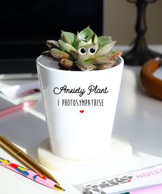 a potted plant sitting on top of a white table next to pencils and markers