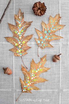 some leaves and acorns on a table