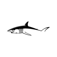 a black and white drawing of a shark