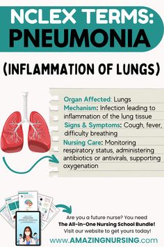 an info sheet with instructions on how to use the lungs